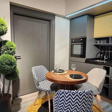 Romantic Sunflower #21 Apartamento